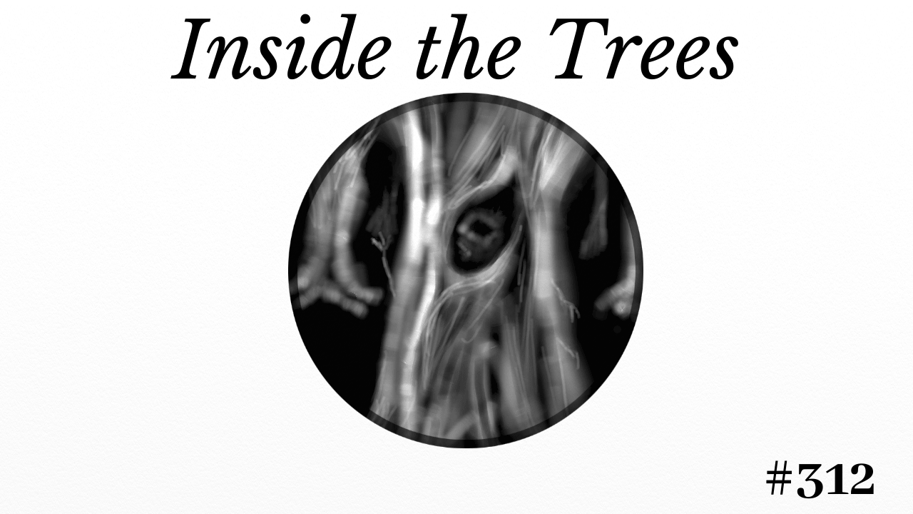 Inside the Trees, Matthew Dewey, Short Story, I knew the forest had its oddities. The trees were peculiar, warped and old. Despite this, they stood strong and endured any storm. It felt like a place where the evils of nature were born and thrived, a corruption that was gradually spreading. Yet, I would not ignore that beckoning voice. I had to find the source and put my mind at ease, no matter what lurked in the shadows.