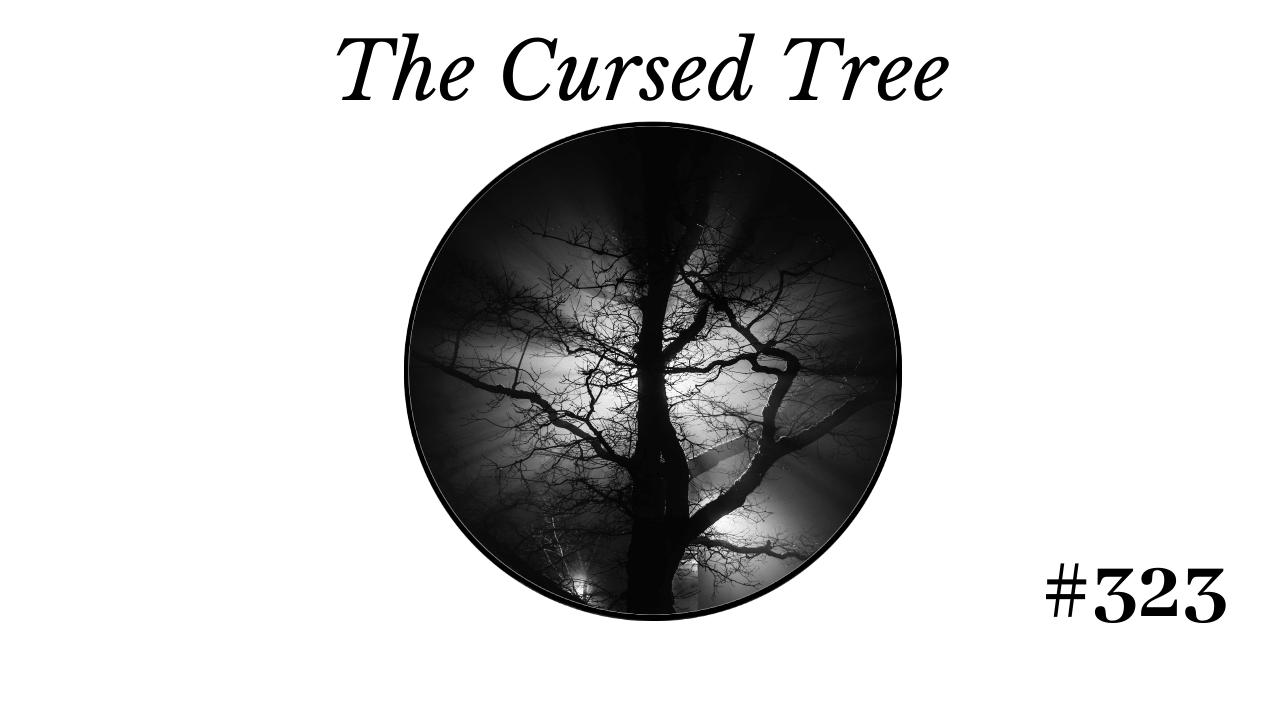The Cursed Tree, Short Story, Matthew Dewey, “Quite simply, the tree is cursed,” the priest said.  “I was rather hoping you had more to say than the obvious, father,” the woodsman sighed. “Of course it is cursed. The twisted branches, the strange, bloodlike pools and of course, the dozen bodies littered around it like fallen leaves. How do we rid ourselves of this tree?”