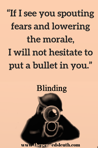 Blinding, The Penned Sleuth, Action, Adventure, War, Suspense
