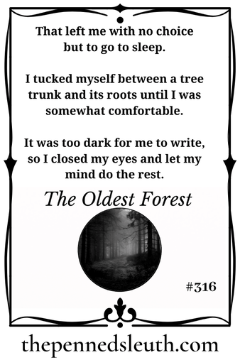 The Oldest Forest, Matthew Dewey, Short Story, The Penned Sleuth, It’s believed to be the oldest forest. The trees at its edge, which are supposed to be the youngest, are said to be older than any tree outside of the forest by several thousand years. I stood before these outer trees, trying to conceive that they were the youngest and looked towards the centre to make sense of it. I found my view blocked by the intense twisting of branches and the cold fog.  Whatever was at the centre was sure to be a remarkable discovery, taking my name and making it known far and wide.